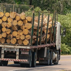 Camion chargé de grumes