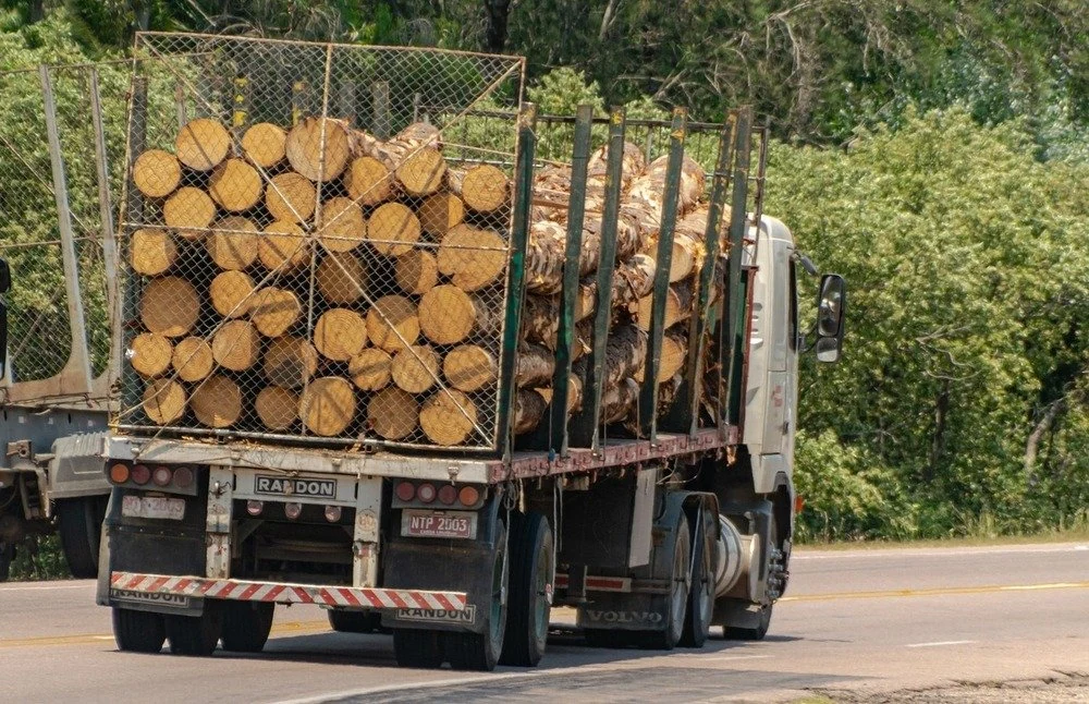 Camion chargé de grumes