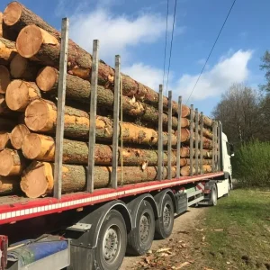 Camion chargé de grumes