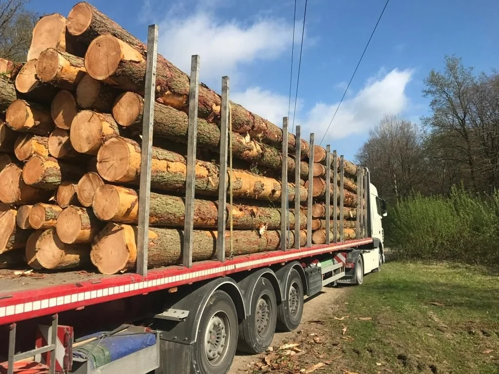 Camion chargé de grumes