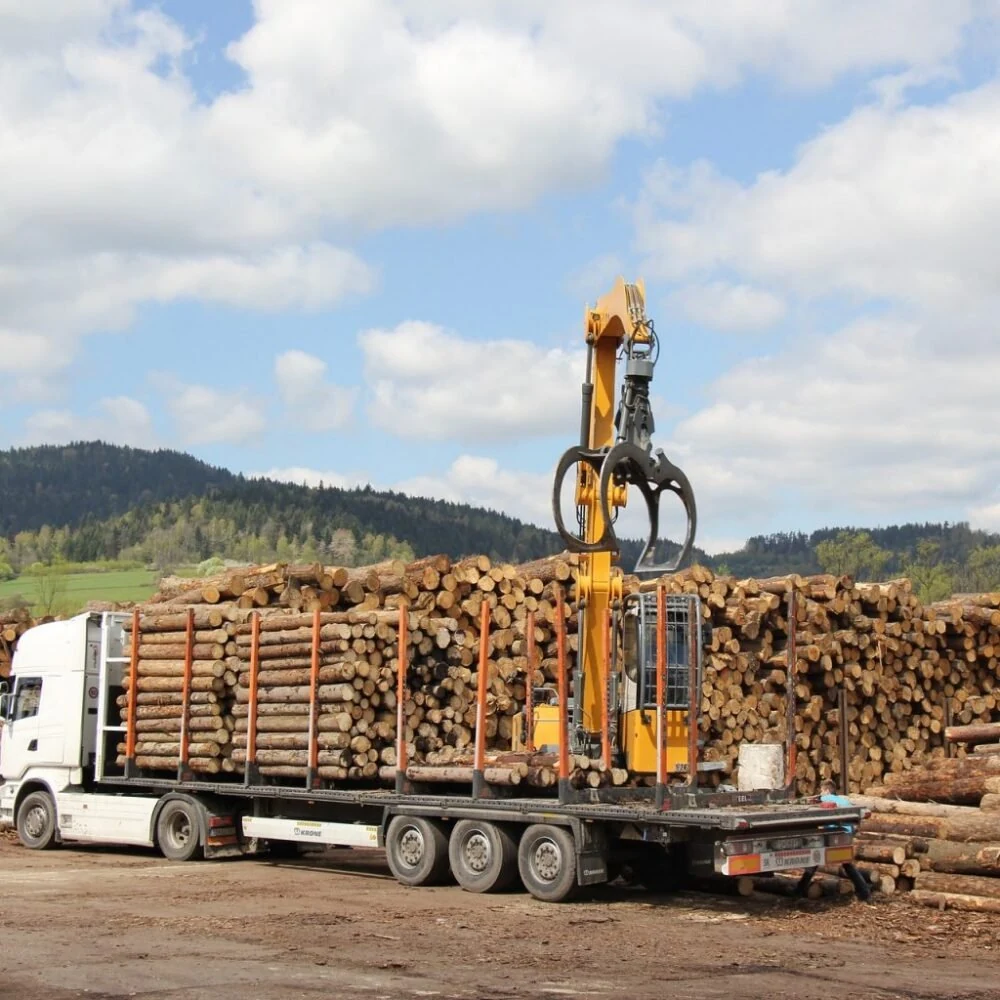 Camion chargé de grumes
