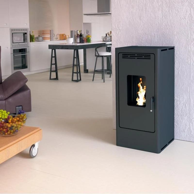 Poêle installé dans une pièce
